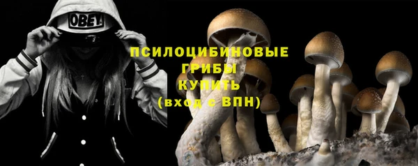 Альфа ПВП Армянск