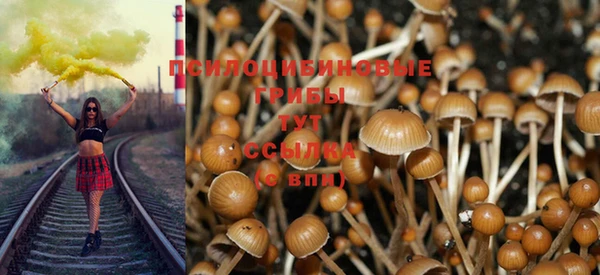 таблы Арсеньев