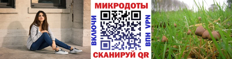 Псилоцибиновые грибы Cubensis  Купить где  Бронницы 